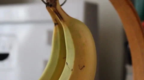 Bananas Stock Footage 33831549