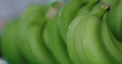 Bananas Stock Footage 125080749