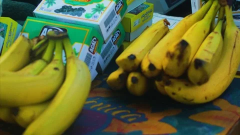 Bananas Stock Footage 125155624