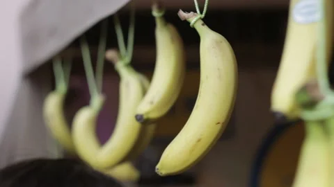 Bananas hanging on the ropes at interior Stock Footage 113355110