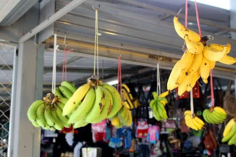 Bananas hanging waiting for customers in market Stock Photos