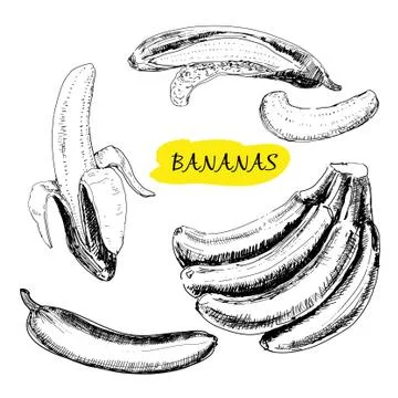 Bananas Stock Illustration