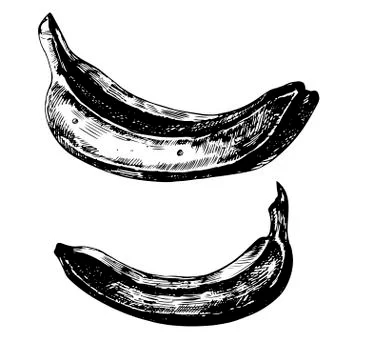 Bananas Stock Illustration