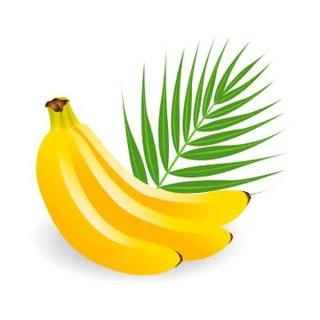 Bananas Stock Illustration