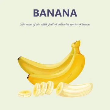 Bananas. Isolated objects Illustrazione stock