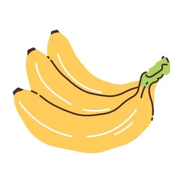 Bananas isolated on white background. Flat modern vector illustration. Stock Illustration