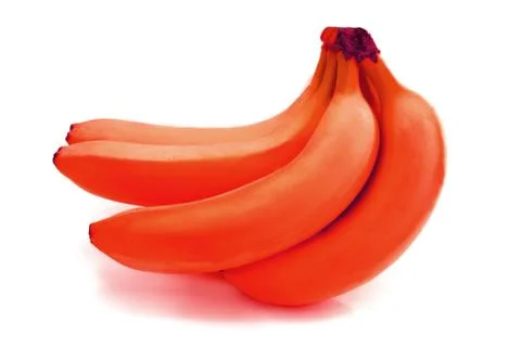 Bananas isolated on white Stock Photos
