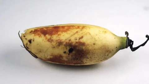 Bananas Macro Footage Stock Footage 104031863