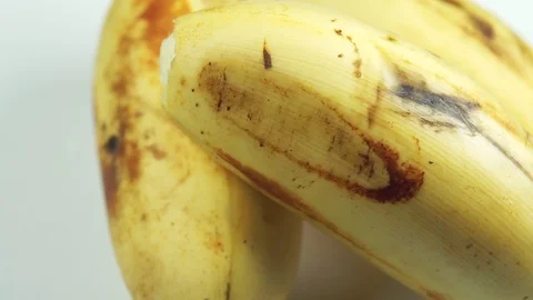 Bananas Macro Footage Stock Footage 104031936