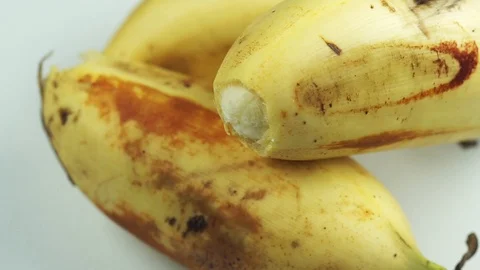 Bananas Macro Footage Stock Footage 104031937