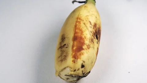 Bananas Macro Footage Stock Footage 104031958