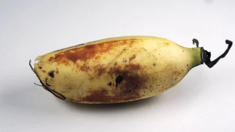 Bananas Macro Footage Stock Footage 104031981