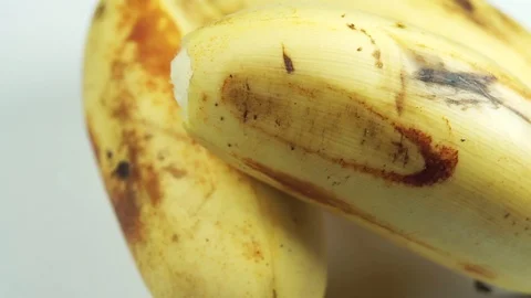Bananas Macro Footage Stock Footage 104031983