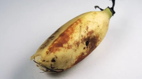 Bananas Macro Footage Stock Footage 104032005