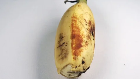 Bananas Macro Footage Stock Footage 104032048