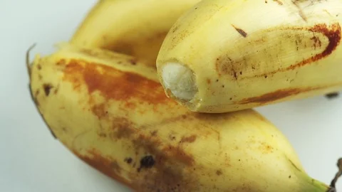 Bananas Macro Footage Stock Footage 104032057