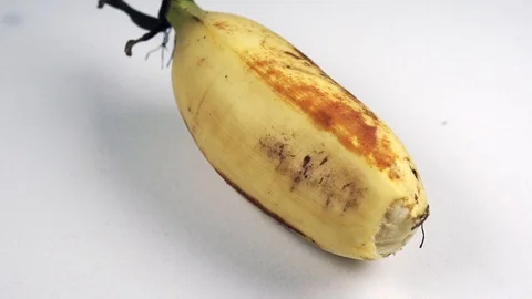 Bananas Macro Footage 動画素材 104032123