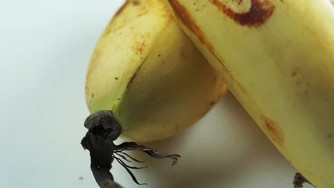 Bananas Macro Footage Stock Footage 104032136