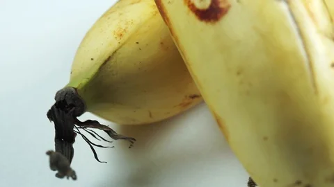 Bananas Macro Footage Stock Footage 104032203