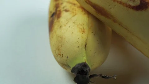 Bananas Macro Footage Stock Footage 104032205