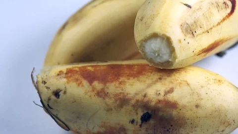 Bananas Macro Footage Stock Footage 104032316