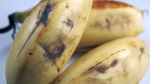 Bananas Macro Footage 動画素材 104032330