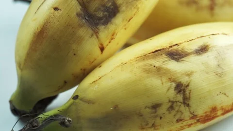 Bananas Macro Footage Stock Footage 104032335