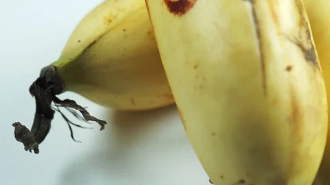 Bananas Macro Footage 動画素材 104032441