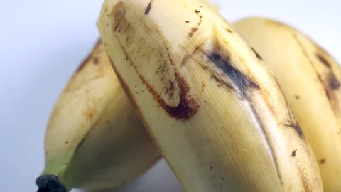 Bananas Macro Footage 動画素材 104032452