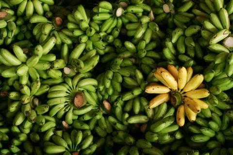 Bananas Stock Photos