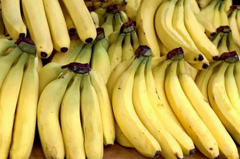 Bananas Stock Photos