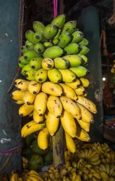 Bananas Stock Photos