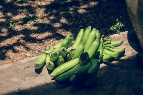 Bananas Stock Photos