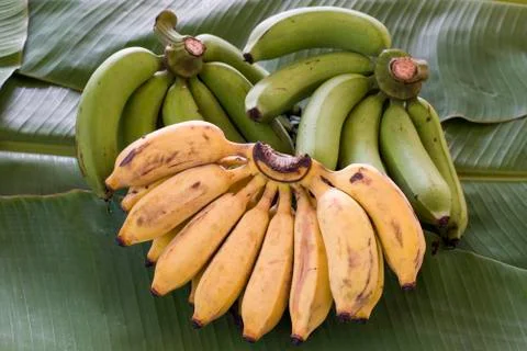 Bananas Stock Photos