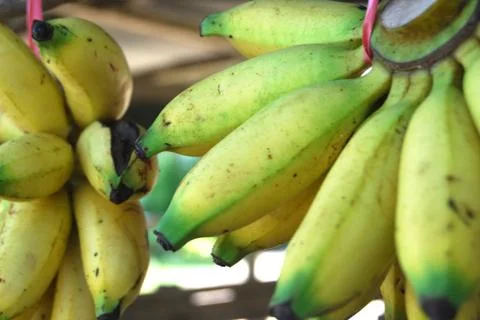 Bananas Stock Photos
