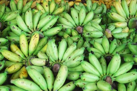 Bananas Stock Photos