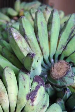 Bananas Stock Photos