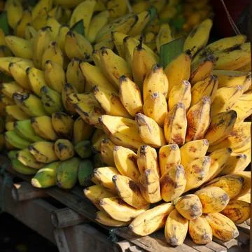 Bananas Stock Photos