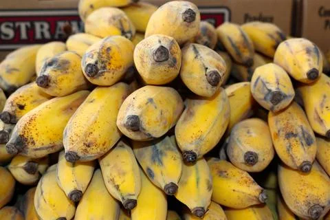 Bananas Stock Photos
