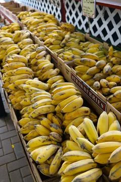Bananas Stock Photos