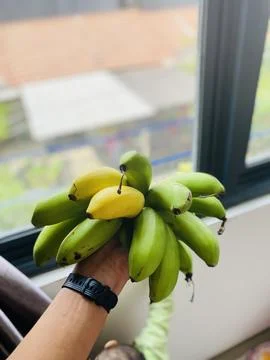 Bananas Foto stock