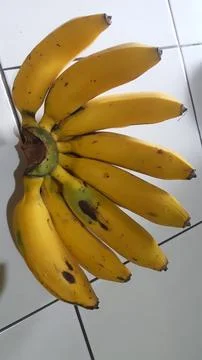 Bananas 스톡 사진