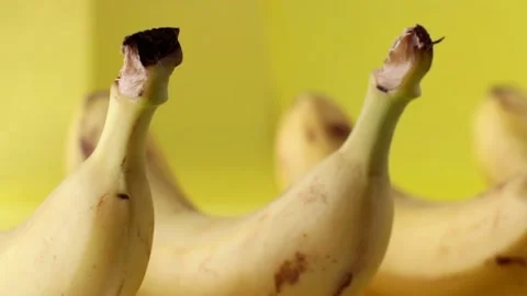 Bananas in a row on yellow background Stock Footage 115637940