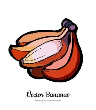 Bananas set vector isolated. Whole red banana bunch. Sweet fruit collection h Stock Illustration