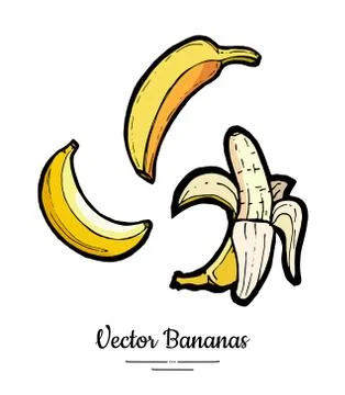 Bananas set vector isolated. Whole peeled banana. Yellow fruits collection ha Stock Illustration
