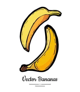 Bananas set vector isolated. Whole banana. Yellow sweet fruits collection han Stock Illustration