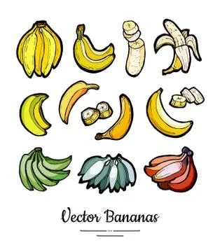 Bananas set vector isolated. Whole chopped banana slices bunch. Yellow green  Stock Illustration