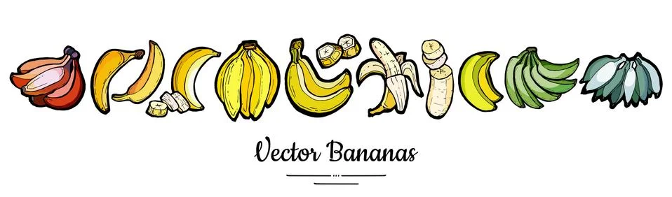 Bananas set vector isolated. Whole chopped banana slices bunch. Yellow green  Stock Illustration