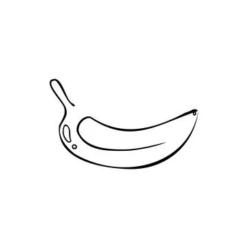 Bananas sketch vector illustration Stock Illustration