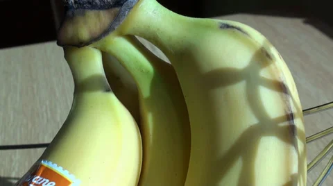 Bananas on the table Stock Footage 36095107